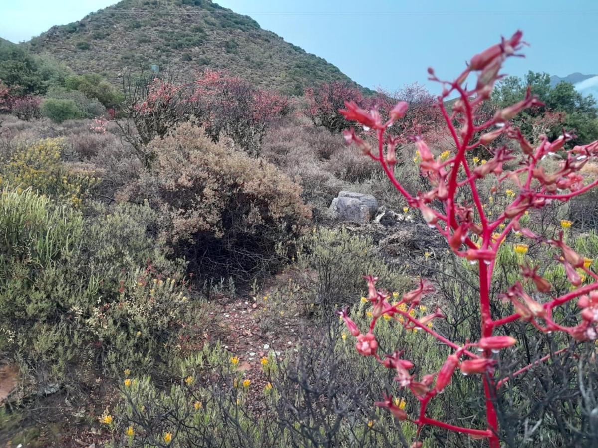 Exhale Cottage Montagu Dış mekan fotoğraf